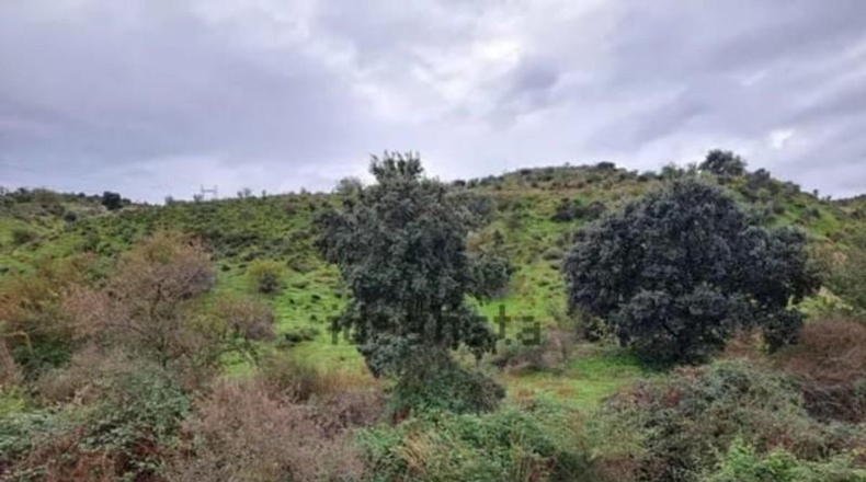 Community of Madrid - Эль-Молар - 29357m2