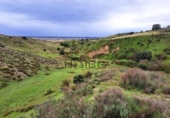 Terreno no urbanizable en venta en la España, El Molar, ref: TR358197 foto
