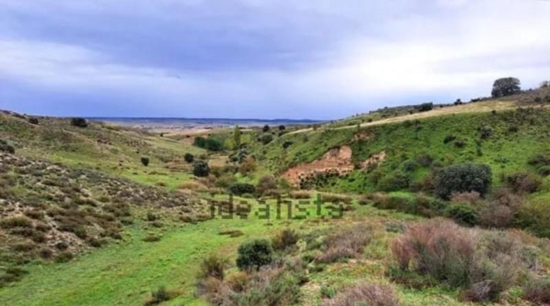 Community of Madrid - Эль-Молар - 29357m2