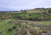Terreno no urbanizable en venta en la España, El Molar, ref: TR358197 foto