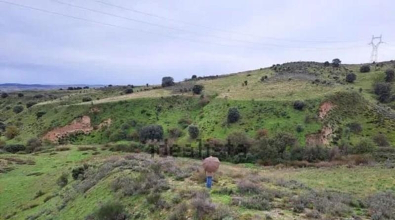 Community of Madrid - Эль-Молар - 29357m2