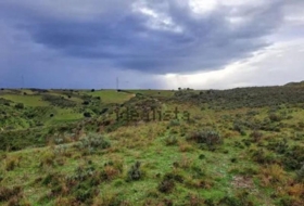 El Molar 29357&nbsp;m²