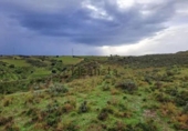 Terreno no urbanizable en venta en la España, El Molar, ref: TR358197 foto