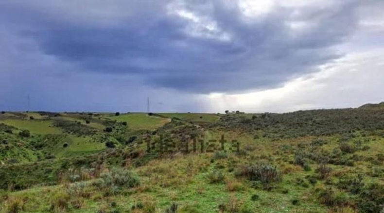 Community of Madrid - Эль-Молар - 29357m2