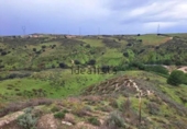 Terreno no urbanizable en venta en la España, El Molar, ref: TR358197 foto