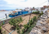 Non-developable land for sale on España, Icod de los Vinos, ref: TR131750 photo