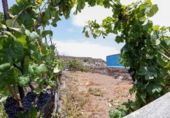 Non-developable land for sale on España, Icod de los Vinos, ref: TR131750 photo