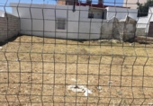 Parcel·la urbanitzable en venda a la España, Benalup-Casas Viejas, ref.: TR173785 foto