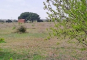Xalet independent amb terreny en venda a la España, Tarragona, ref.: TR174754 foto