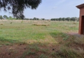 Xalet independent amb terreny en venda a la España, Tarragona, ref.: TR174754 foto