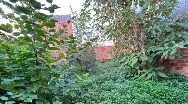 Barcelona - Sant Pere de Ribes - 138m2