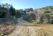 Terreny no urbanitzable en venda a la España, Riudecols, ref.: TR124812 foto
