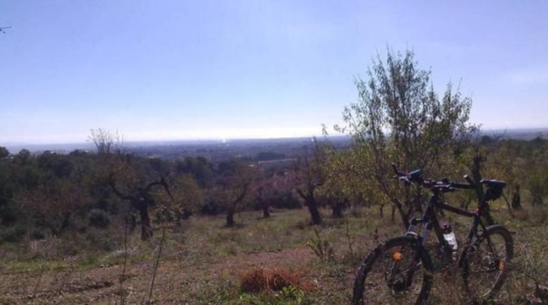 Tarragona - Riudecols - 105000m2