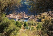 Terreny no urbanitzable en venda a la España, Riudecols, ref.: TR124812 foto