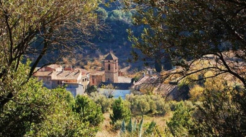 Tarragona - Riudecols - 105000m2