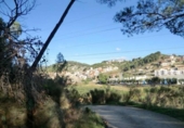 Terreny no urbanitzable en venda a la España, Riudecols, ref.: TR124812 foto