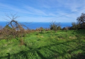 Non-developable land for sale on España, La Orotava, ref: TR126493 photo