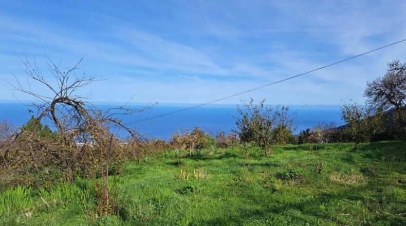 Santa Cruz de Tenerife - La Orotava - 8150m2