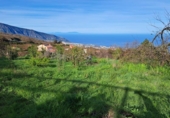 Non-developable land for sale on España, La Orotava, ref: TR126493 photo