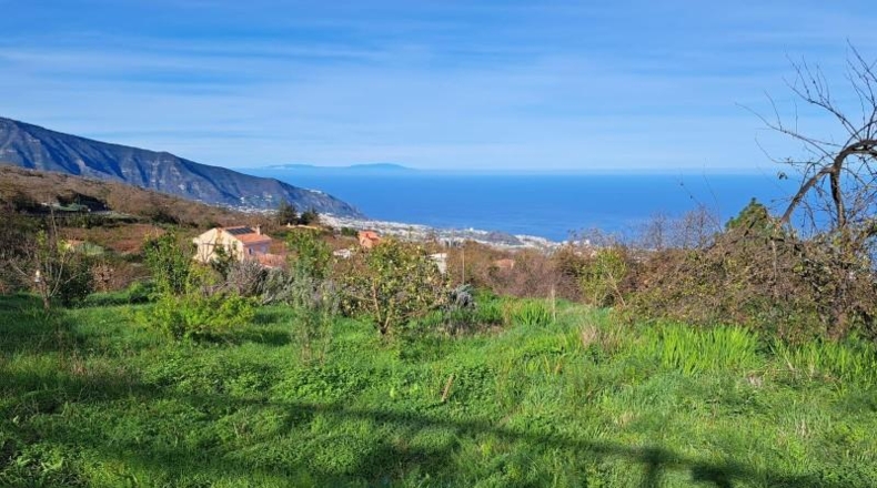 Santa Cruz de Tenerife - La Orotava - 8150m2