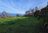 Non-developable land for sale on España, La Orotava, ref: TR126493 photo