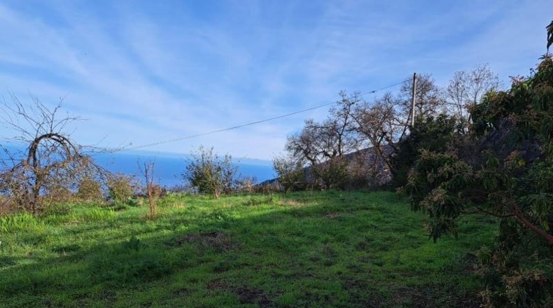 Santa Cruz de Tenerife - La Orotava - 8150m2