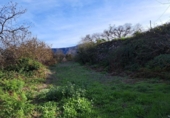 Non-developable land for sale on España, La Orotava, ref: TR126493 photo