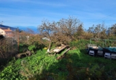 Non-developable land for sale on España, La Orotava, ref: TR126493 photo