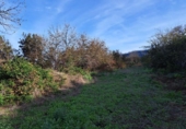 Non-developable land for sale on España, La Orotava, ref: TR126493 photo