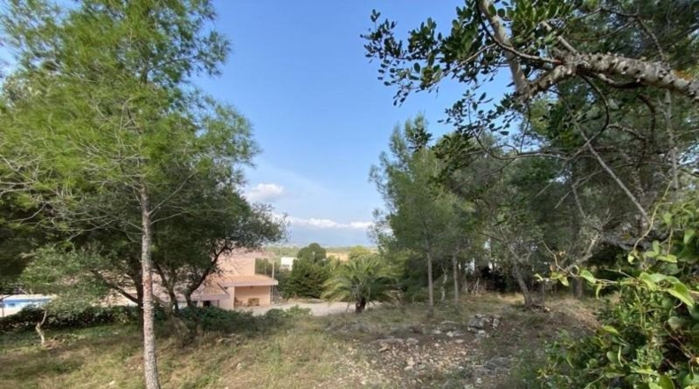 Tarragona - Tortosa - 828m2
