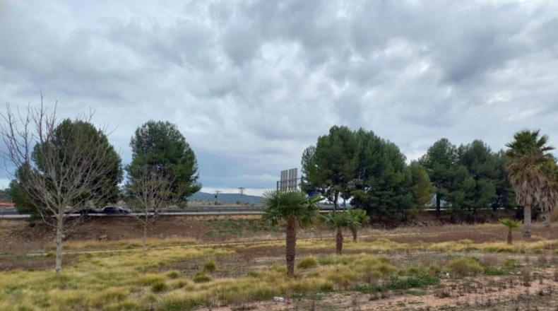 Castellón - Cabanes - 1200m2