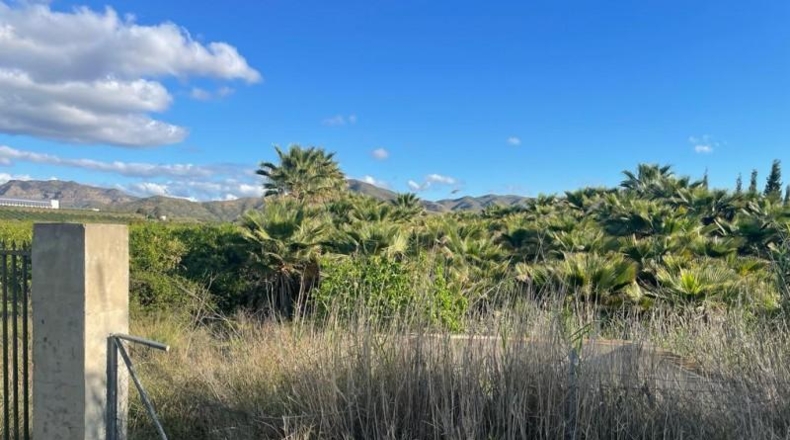 Málaga - Cártama - 3388m2