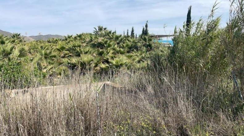 Málaga - Cártama - 3388m2