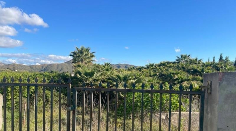 Málaga - Cártama - 3388m2