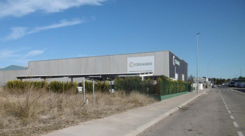 Castellón - Vall d'Alba - 1540m2