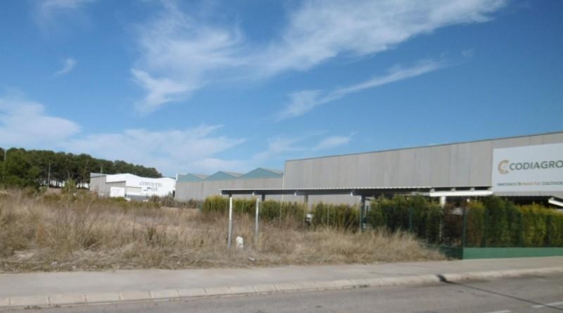Castellón - Vall d'Alba - 1540m2