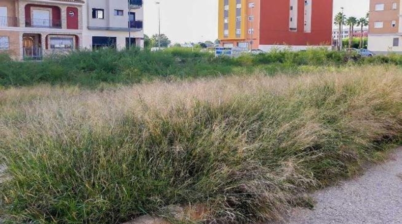 València - Carlet - 1009m2