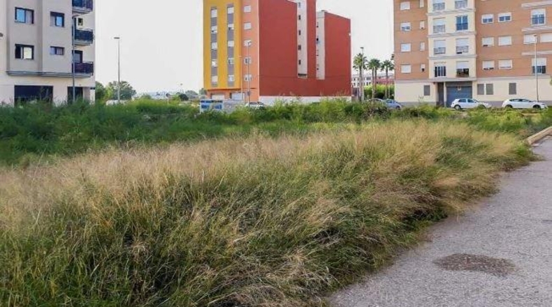 València - Carlet - 1009m2