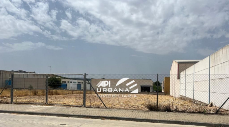 Córdoba - Lucena - 1541m2
