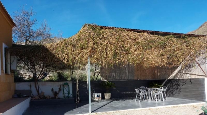 Almería - Berja - 3000m2