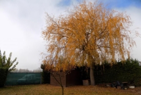 Aibar 5400&nbsp;m² 