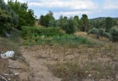 Chalet independiente con terreno en venta en la España, Valderrobres, ref: TR327934 foto