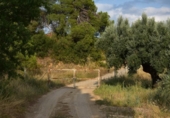 Chalet independiente con terreno en venta en la España, Valderrobres, ref: TR327934 foto