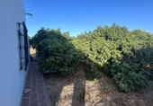 Участок с постройкой на продажу в городе Chiclana de la Frontera Фото