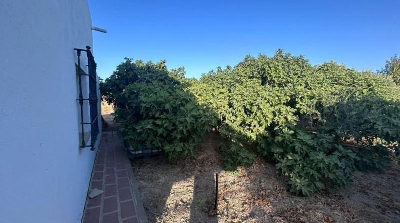 Cadiz - Chiclana de la Frontera - 6360m2