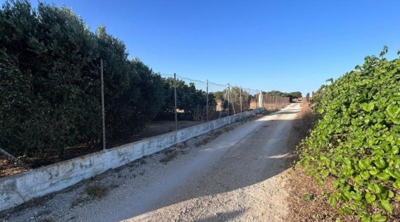 Cadiz - Chiclana de la Frontera - 6360m2