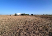 Участок с постройкой на продажу в городе Chiclana de la Frontera Фото