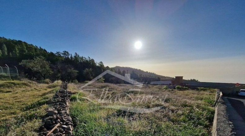 Zamora - Muelas del Pan - 1239m2