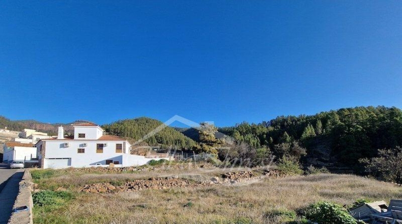 Zamora - Muelas del Pan - 1239m2