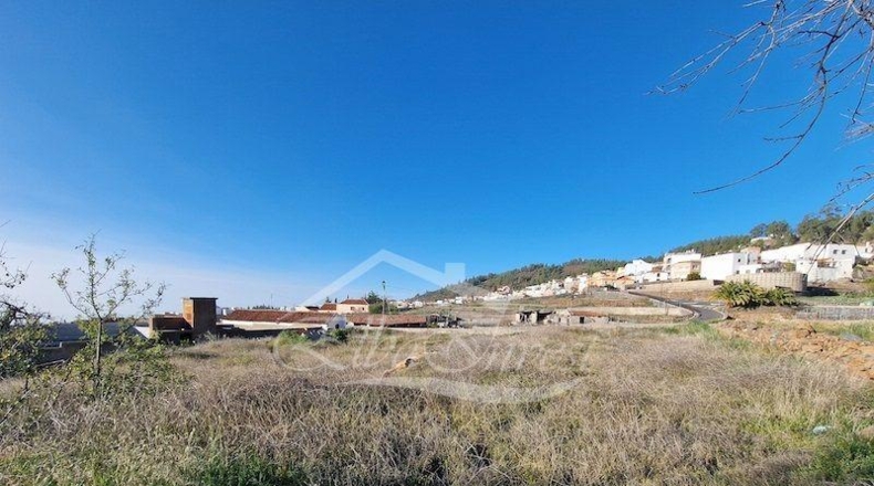 Zamora - Muelas del Pan - 1239m2